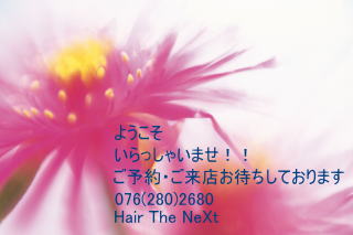 NEXT����s�l�N�X�g
